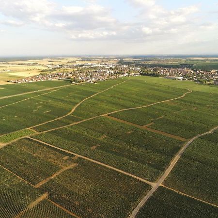 Les Portes Du Vignoble نوي سان جورج المظهر الخارجي الصورة