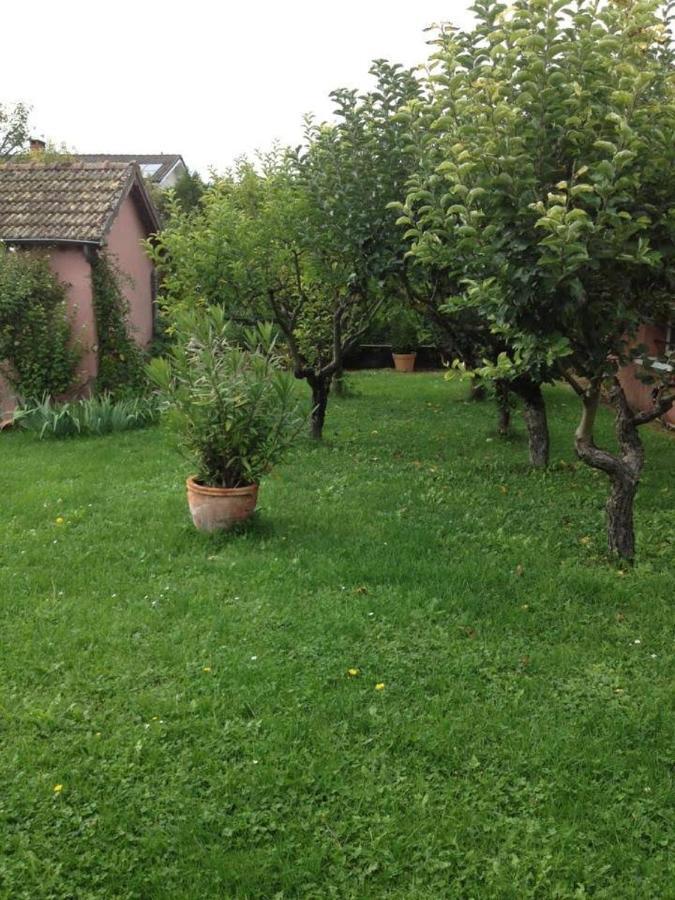 Les Portes Du Vignoble نوي سان جورج المظهر الخارجي الصورة